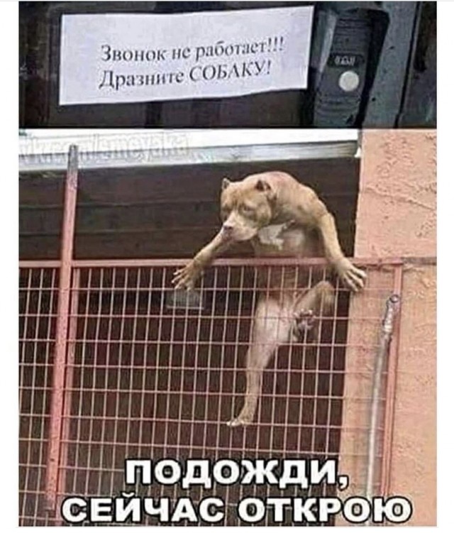 Так себе картинки 08.09.21