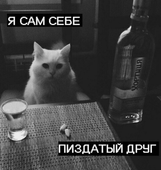 Алкопост 1.11.21