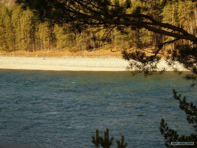 В ноябре на Алтае 2010г.