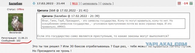 Нужно законодательно запретить распространение информации с оскорблениями президента России, - Мизулина