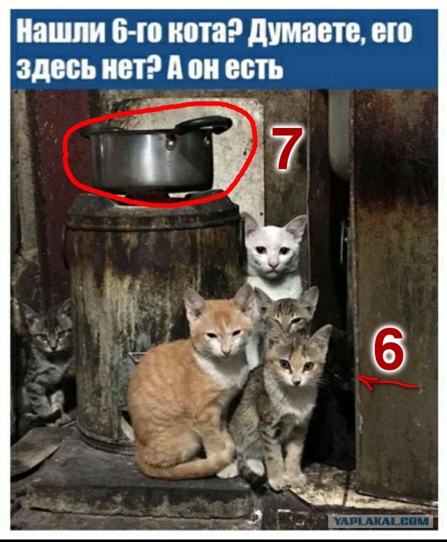 Просто картинки для настроения