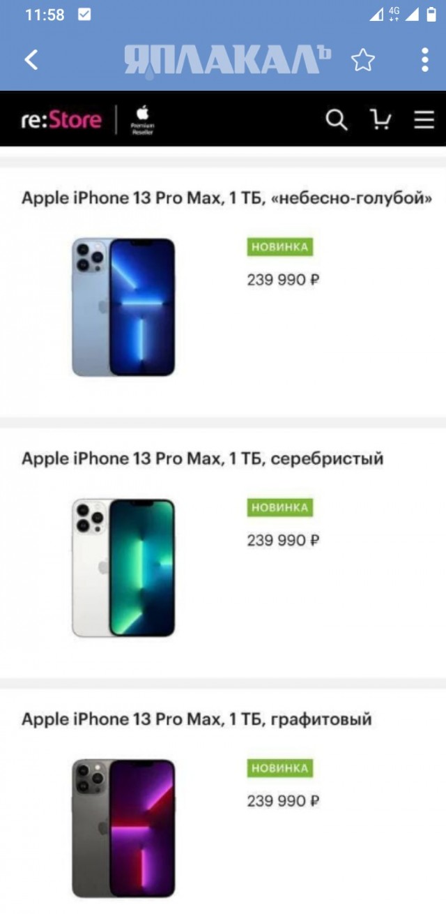 Крыса