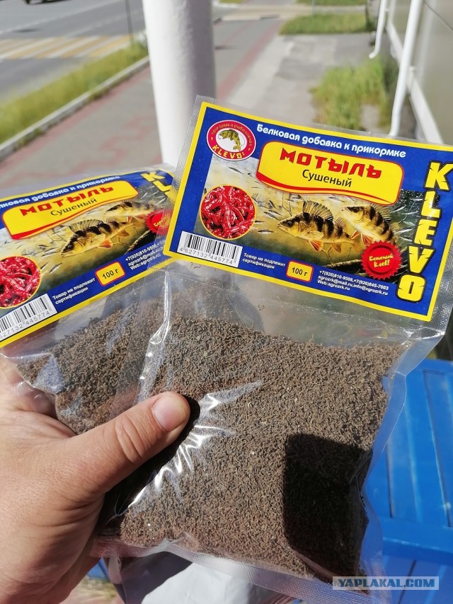 Рыбалка на карася