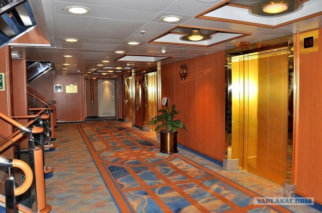 Любовь с первого взгляда