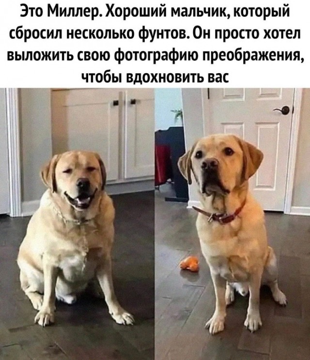 Картинки и мемы для настроения - 31