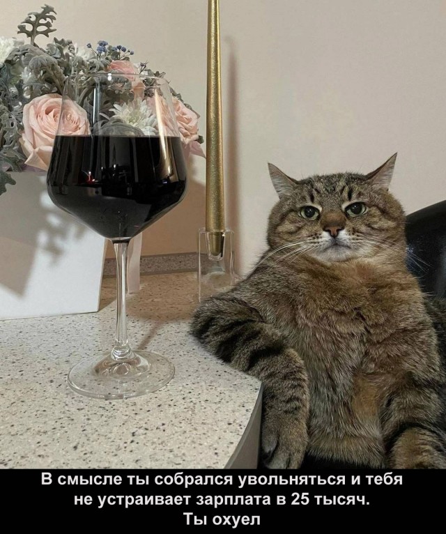 Немного мемчиков. Для взрослых 18+. Часть 13