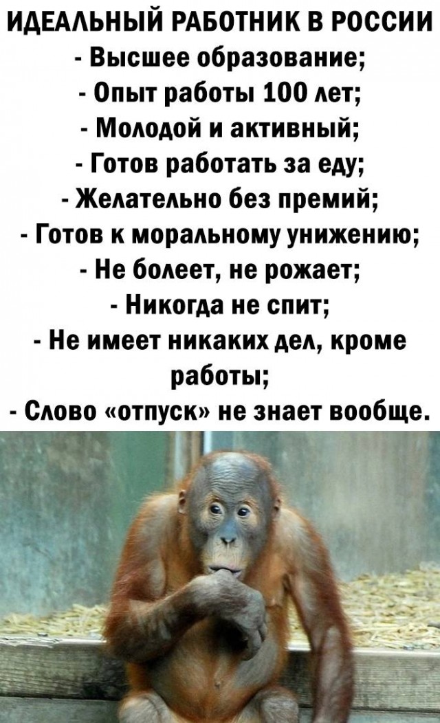 Немного мемчиков. Для взрослых. Часть 16