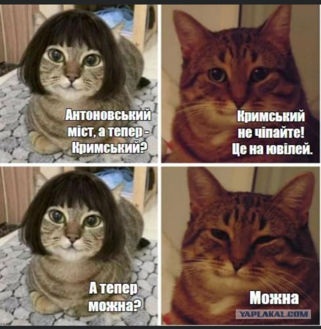Володя