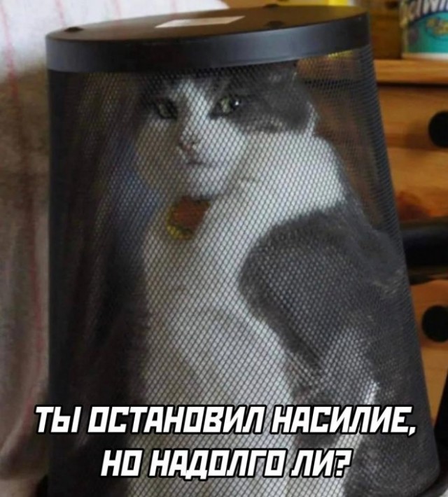 Немного картинок для настроения - 137