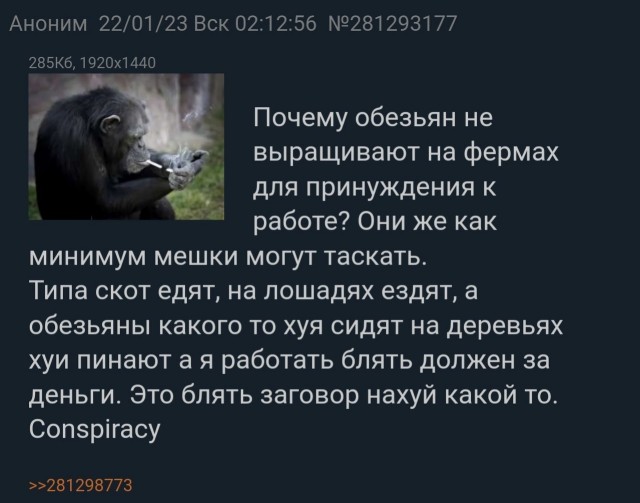 Так себе картинки 05.03.23