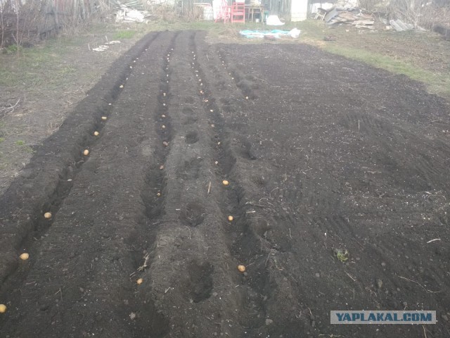 Опять зима