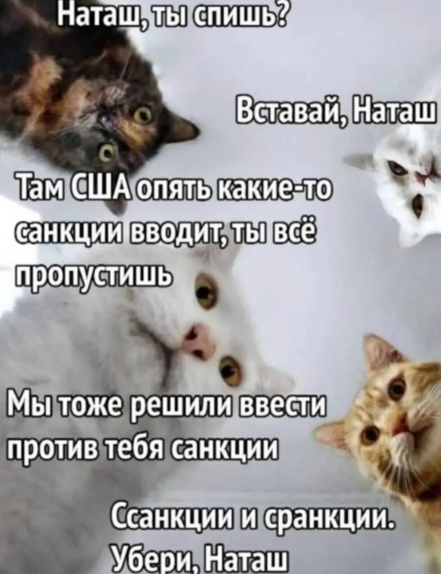 Немного картинок для настроения - 161
