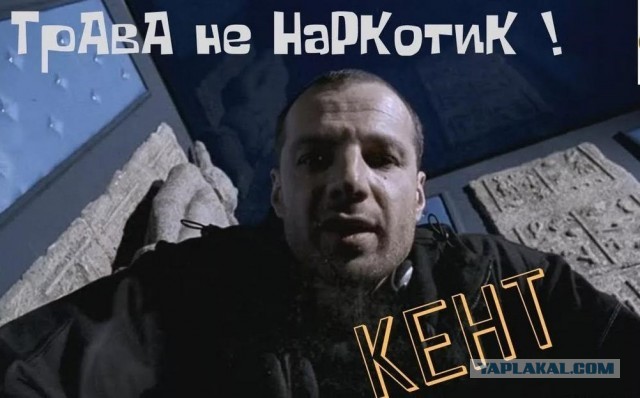 В Москве сестра сдала сестру, которая выращивала в квартире марихуану, чтобы справиться с болезнью