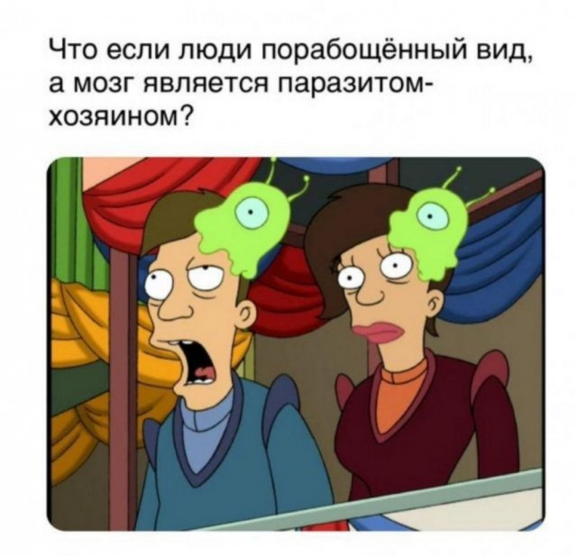 Забавные комментарии из социальных сетей (03.07.23)