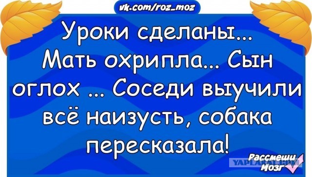 2-й класс, 1-я четверть