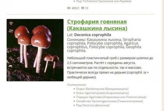 Всего понемногу. От 11.10.