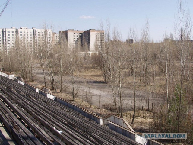 Репортаж из зоны отчуждения: