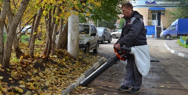 Западные скрепы