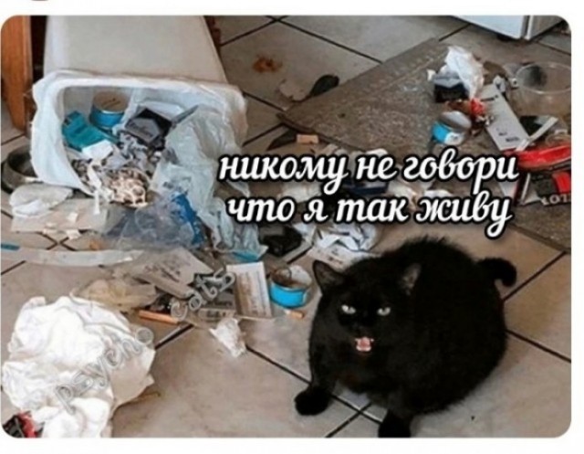 ЯП, помогите, пожалуйста