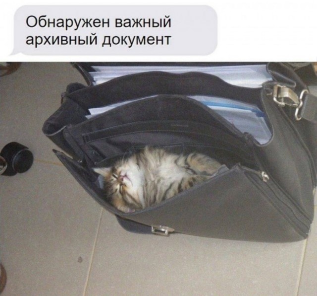 Так себе картинки 11.12.23