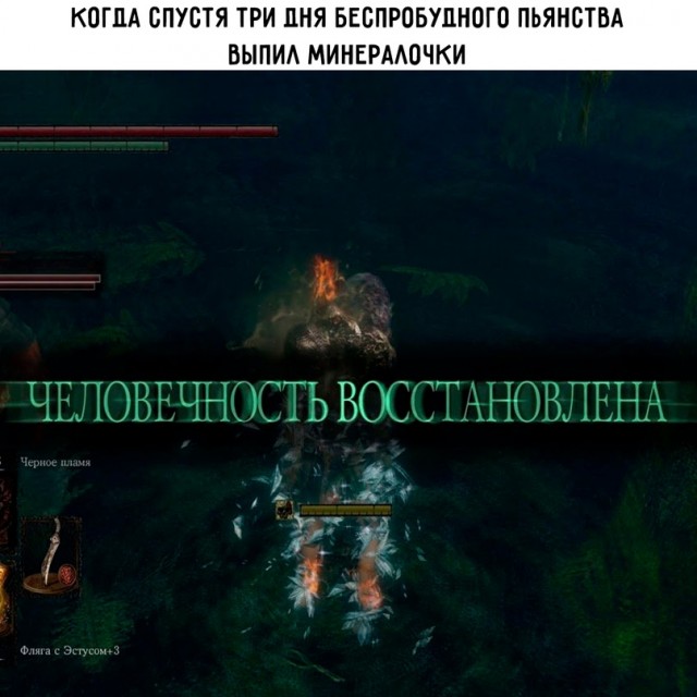 Весёлый полтишок 05.01.24