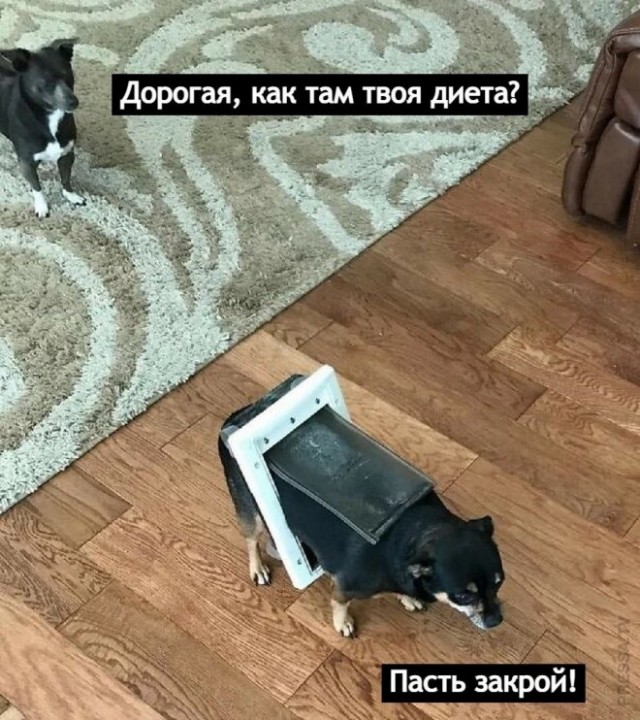 Так себе картинки 06.01.24