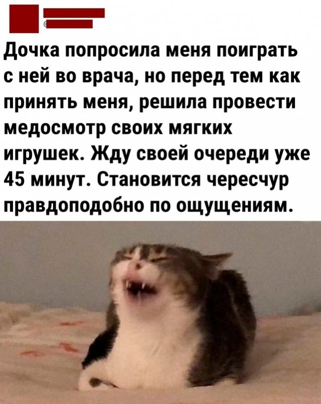 Так себе картинки 17.02.24