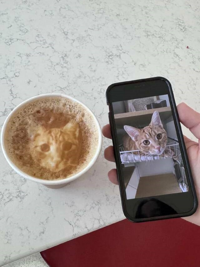 ФотоВинегрет из 60 пикч