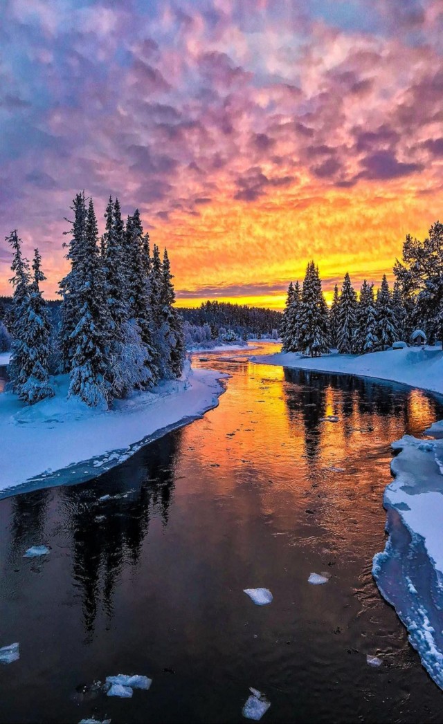 ФотоВинегрет