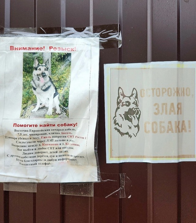 Немного забавных картинок