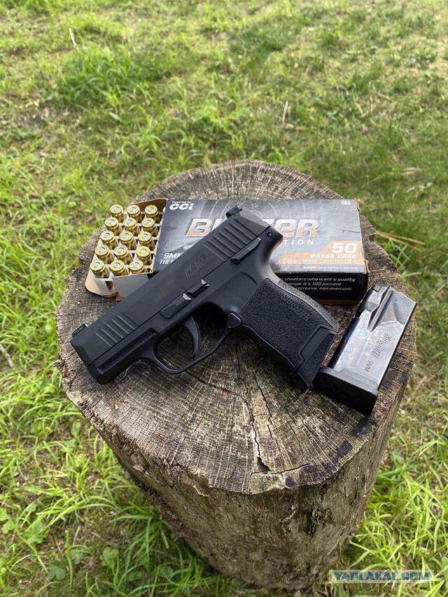 Sig Sauer P365