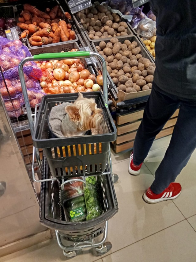 Животноводы среди нас