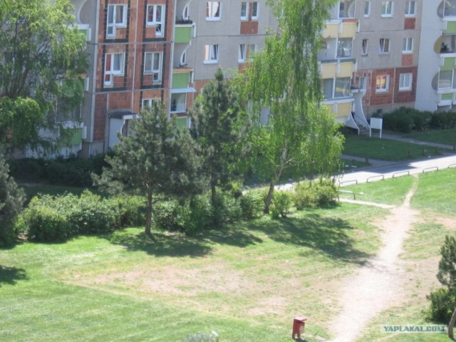 Бесшумный погрузчик (28 картинок и текст)
