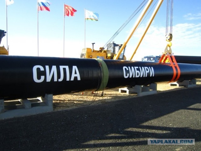 О газовом конденсате и его отличии от нефти
