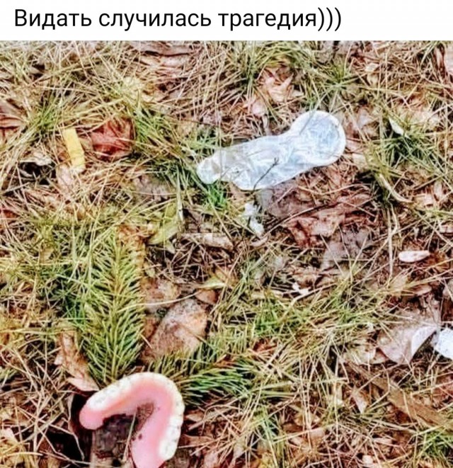 Картинки разные с надписями и без