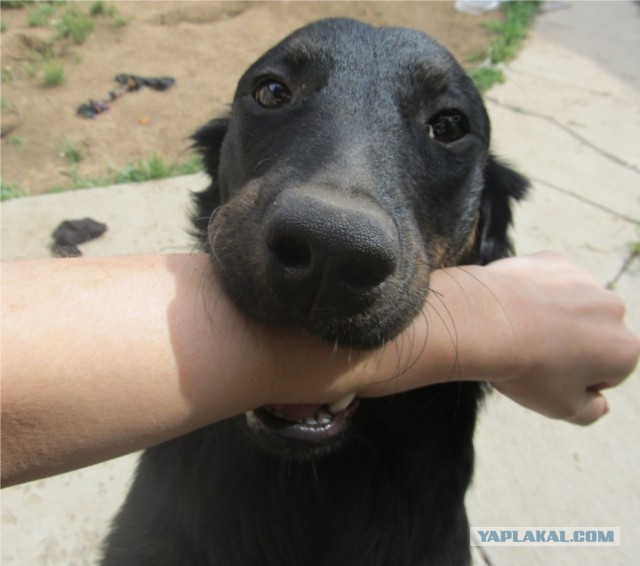 Это означает, что она тебя любит.