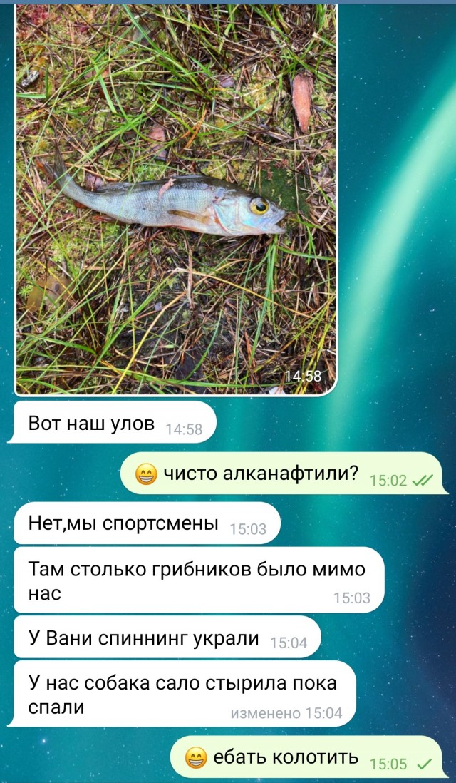 Поехали как то посоны на рыбалку