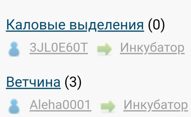 Ветчина
