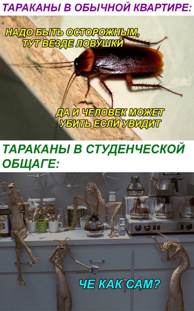 Картинок немного в среду утром