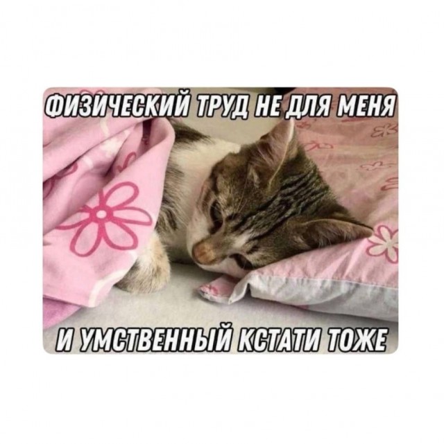 Картинки среды