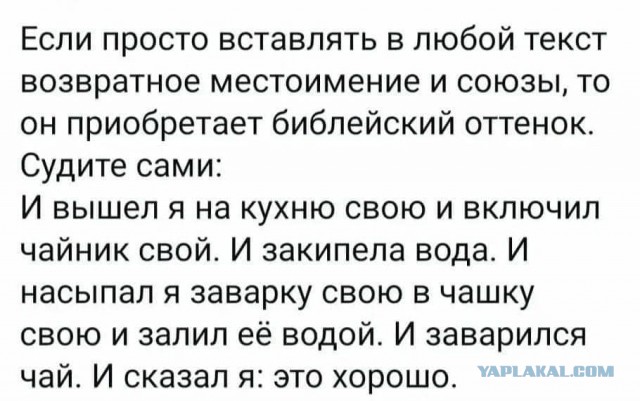 Веселые картинки в пятницу (14.11)
