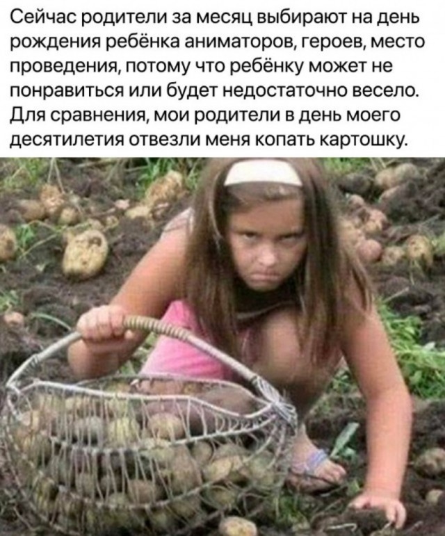 Так себе картинки 15.11.25