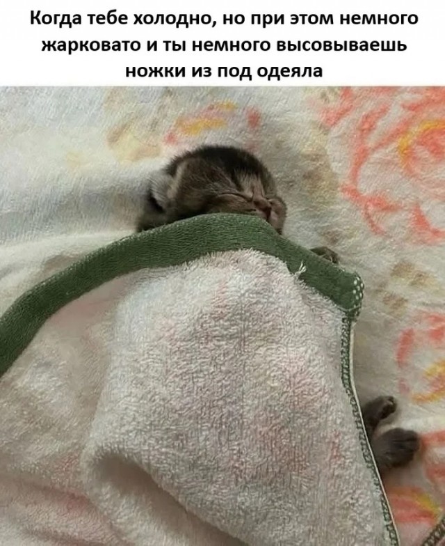 Пятницы картинки