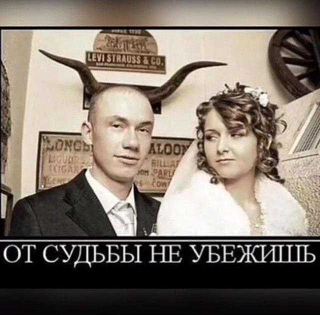 Так себе картинки 18.02.26