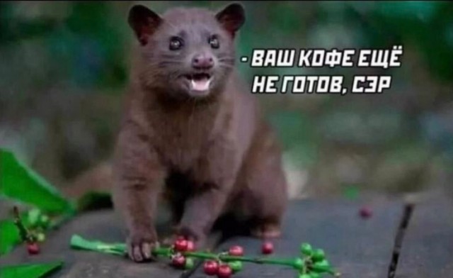 Картиночки, баянчики 8 марта