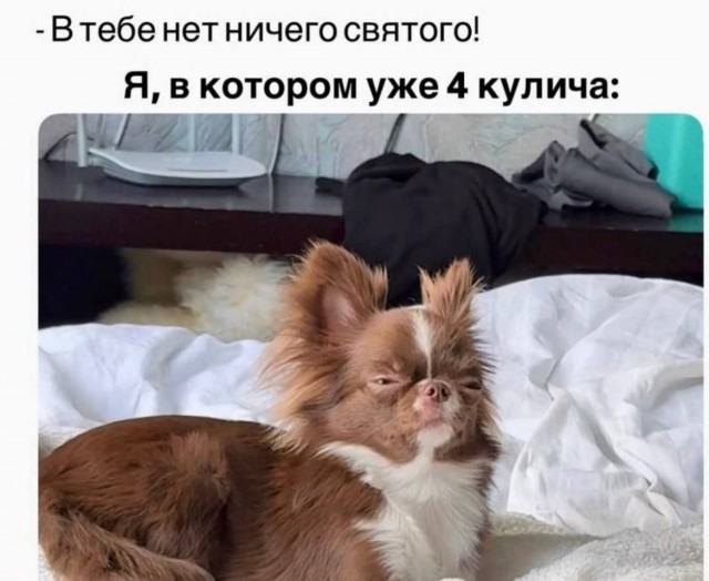 Субботние картинки