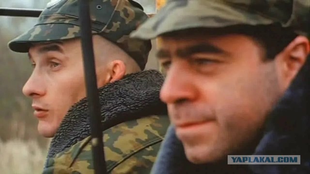 Учёные решили очередную загадку Вселенной. Кот Шредингера не только жив и мёртв одновременно, но также стар и молод в одно время