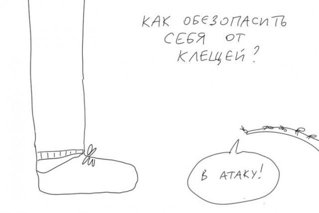 Как обезопасить себя от клещей?⁠