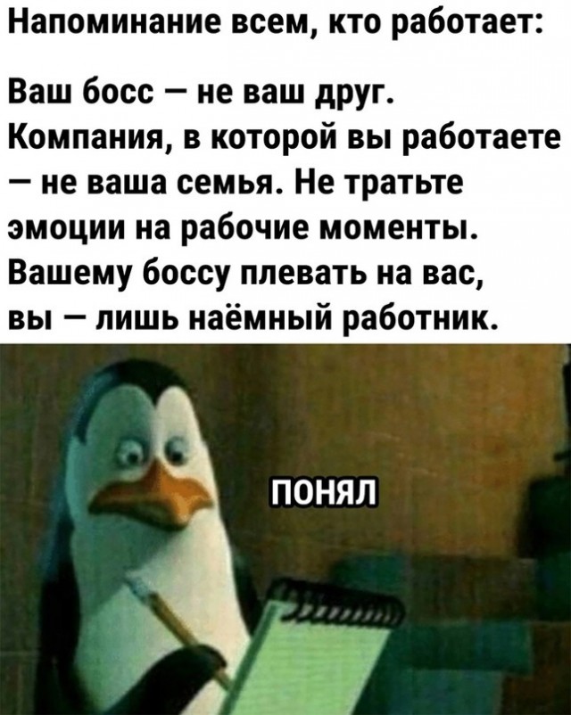 Работодатели в шоке - время бесплатных тетей Маш и дядей Петь прошло и на работу начали устраиваться зумеры