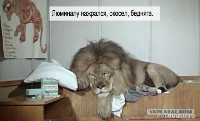Кинокомедии «Полосатый рейс» - 65 лет!